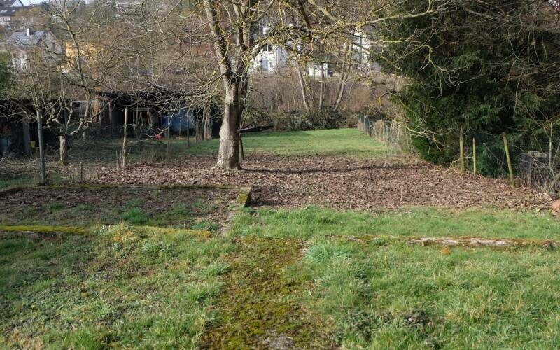 Teilansicht Garten
