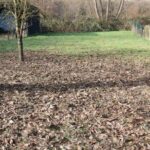 Teilansicht Garten