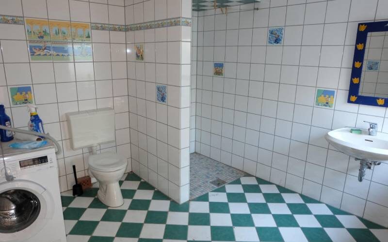 Anbau EG, Duschbad und HWR