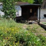 kleine Grünfläche angrenzend an Garage